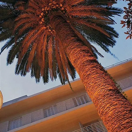 La Palmera & Готель 4*