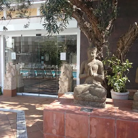 La Palmera & 4*