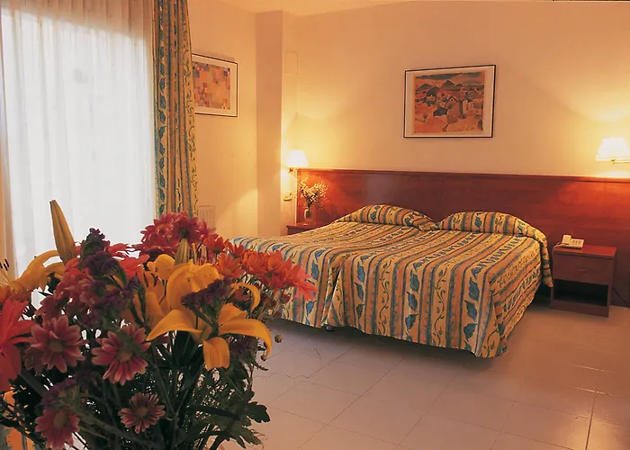 La Palmera & 4* Lloret de Mar