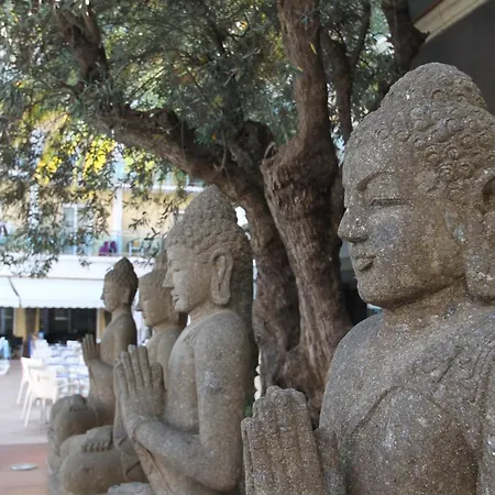 מלון La Palmera &
