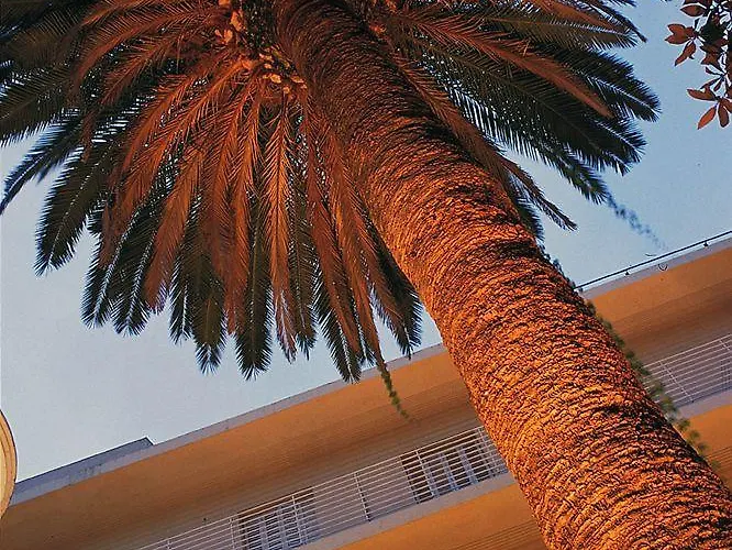 La Palmera & Hotel 4*